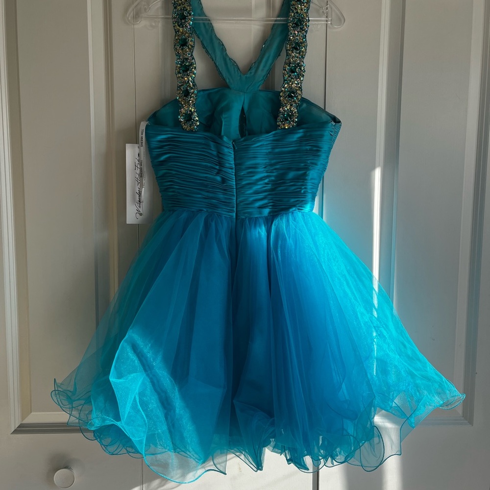 Sheer Hill Homecoming prom dress 4